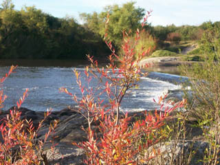 RIo Yi, Durazno