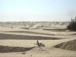 El Sahel