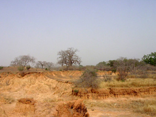 El Sahel