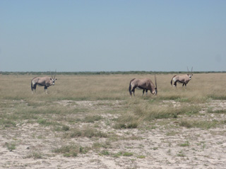 Botswana