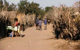 Mangily, Madagascar