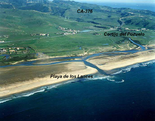 Tarifa