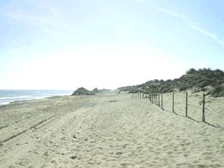 Playa de El Saler