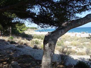 Playa de El Torn