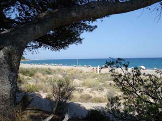 Playa de El Torn