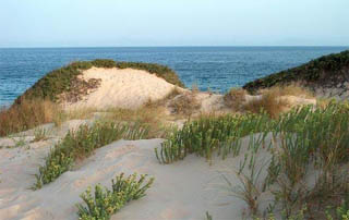 Playa de Puntapalomas