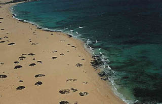 Playa Larga, La Oliva