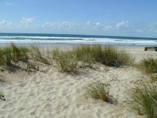 Playa de Caparica