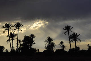 Isla Djerba