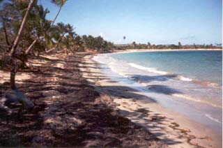 Community Beach