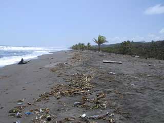 Tortuguero