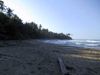 Tortuguero