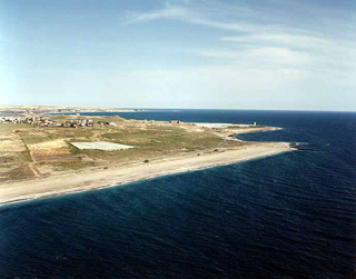 Balerma