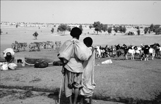 Luik, Mauritania