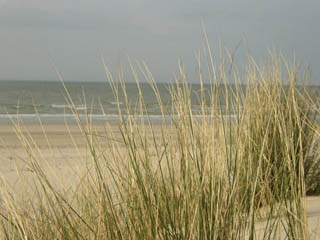 Playa de Lisieux