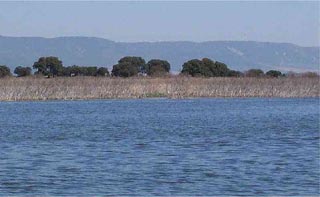 Tablas de Daimiel, cuando había agua