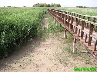 Tabals de Daimiel