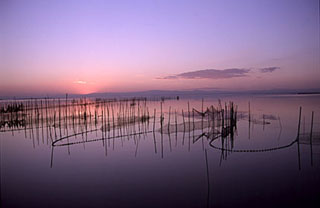 La Albufera