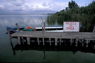 La albufera