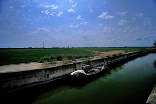 La Albufera