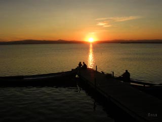 La albufera