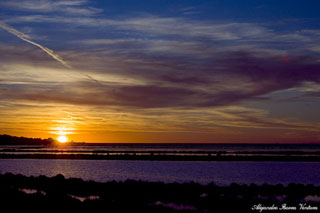 Playa de las salinas