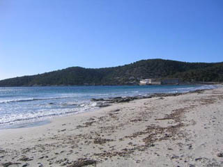 Playa de las salinas