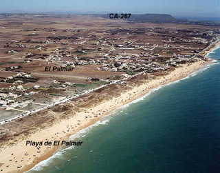 El palmar