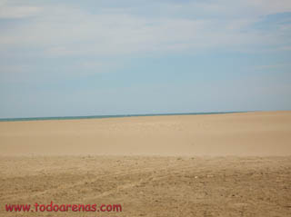 Playa Eucaliptus