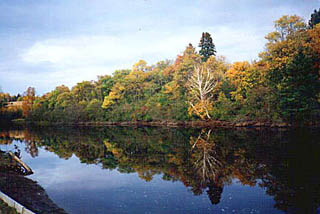 Magnetawan River