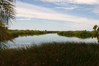 Rio Colorado, Yuma