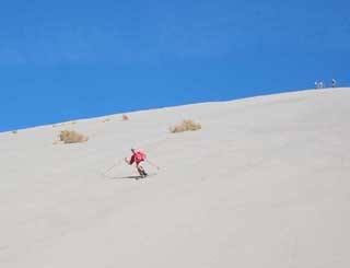 Bruneau dunes