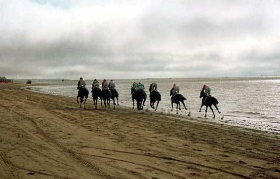 Carrera de Caballos en Sanlucar