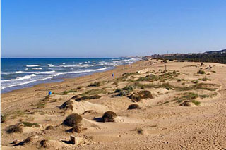 Playa de las Dunas