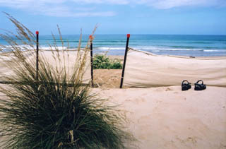 Apollo Bay Beach. Vistoria