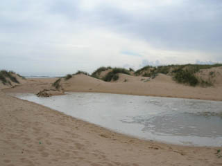 Playa de Hierbabuena