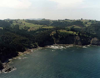 Playa de Ogeia