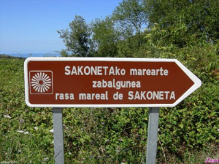 Sakoneta