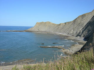 Sakoneta