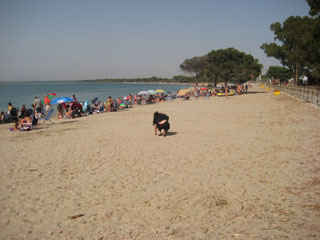 Tomando arena en Rio de San Pedro