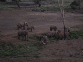 Tsavo