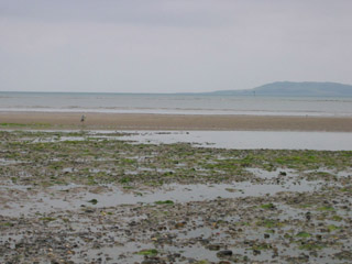 Malahide beach