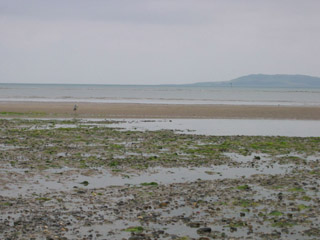 Malahide beach