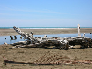 Playa Uvita