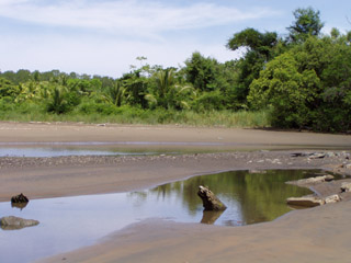 Playa Uvita