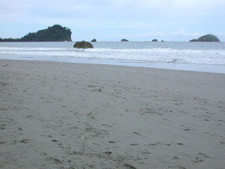 Playa Manuel Antonio