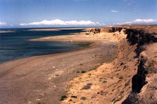 Caleta Valdes