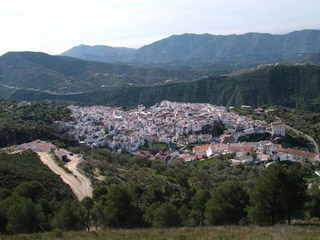 Canillas de Aceituno