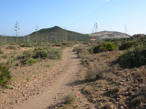 Acceso a El Barronal