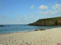Areabrava_3